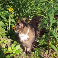 Annette Stokes Photo 38