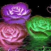 Sandra Talley Photo 13