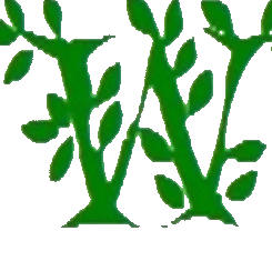 Alisa Wright Photo 12