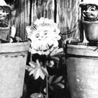 Maryanne Mccarthy Photo 9