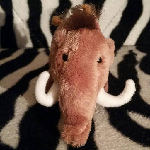 Jacqueline Richter Photo 15