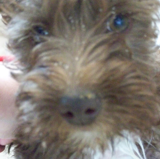 Laurie Morgan Photo 20 Laurie Morgan Photo 20