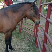 Sue Ballard Photo 16