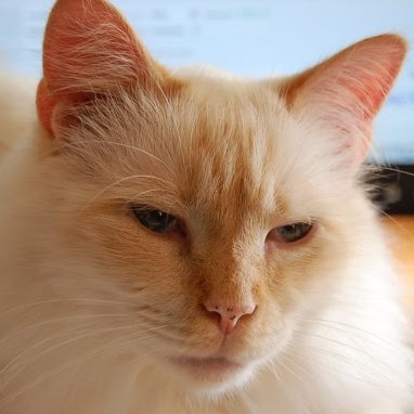 Mary Shepard Photo 28