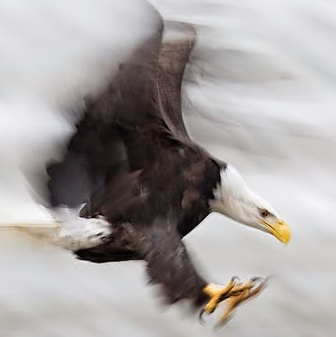 Jeremy Whitaker Photo 33