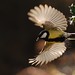Paul Ritchie Photo 33