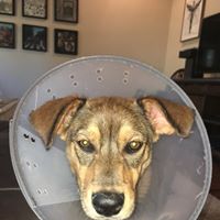 Christopher Mathes Photo 7