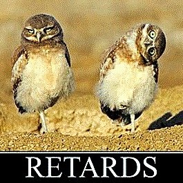 David Hunt Photo 39 David Hunt Photo 39