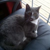 Doris Donovan Photo 19