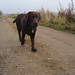 Anita Simonsen Photo 6