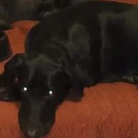 Barbara Higgins Photo 36