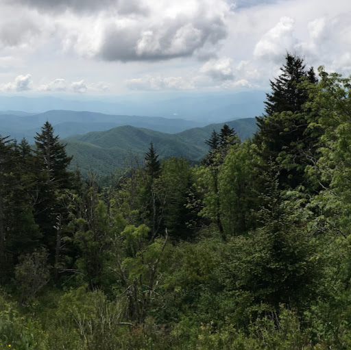 Michael Hudson Photo 19 Michael Hudson Photo 19