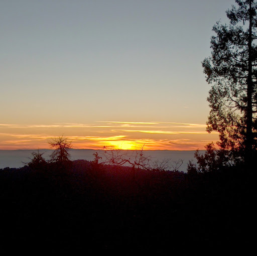 Judy Schneider Photo 8