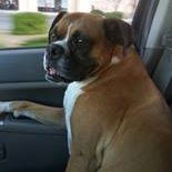 Stacy Pearson Photo 10