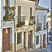 Fernando Baeza Photo 27