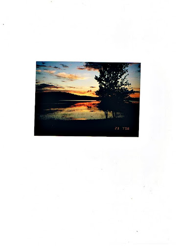 Earl Chapman Photo 37 Earl Chapman Photo 37