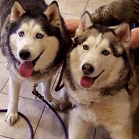 Laurie Mccarthy Photo 33