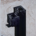 Deborah Chapman Photo 11