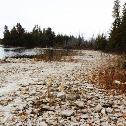 Rebecca Dougherty Photo 33