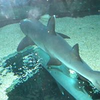 Edward Duffy Photo 14 Edward Duffy Photo 14