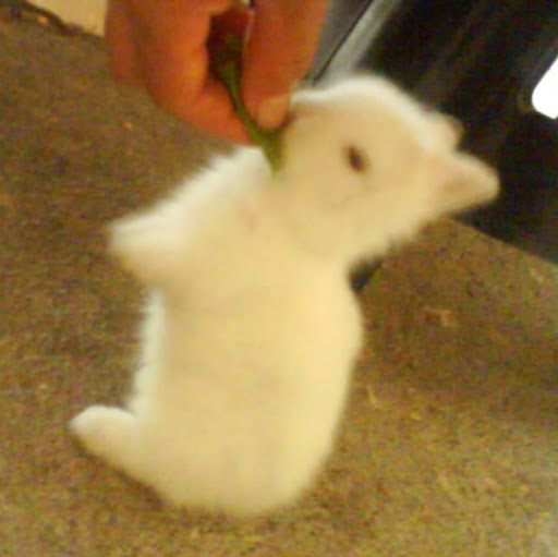 Katherine Flores Photo 26