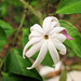 Jasmine Fulton Photo 15