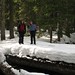 Deborah Snow Photo 11