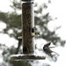 Shelia Turner Photo 31