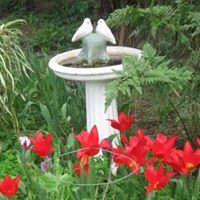 Kathryn Cross Photo 21