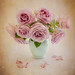 Colleen Farrell Photo 11