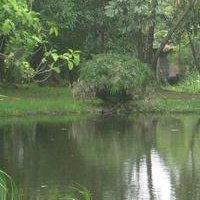 Cecilia Luna Photo 30