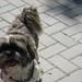 Carole Humphrey Photo 9