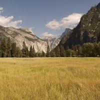 Aaron Tidwell Photo 19