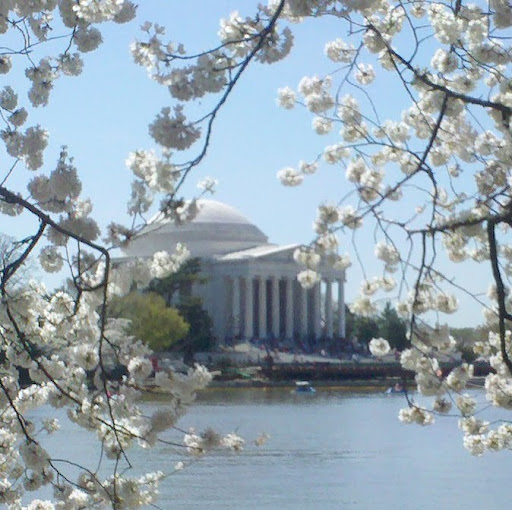 Shannon Hawks Photo 6