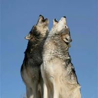 Jason Fiedler Photo 25