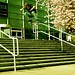 Tom Watts Photo 35