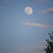 Debra Hayden Photo 22
