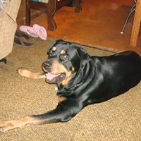 Sheila Kuhn Photo 30