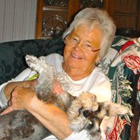 Nancy Parmer Photo 9