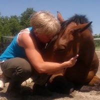 Tracy Hodge Photo 22