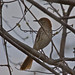 Larry Thrasher Photo 36
