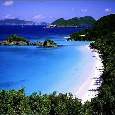 Dan Foreman Photo 25