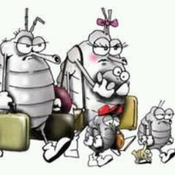 David Randall Photo 36 David Randall Photo 36