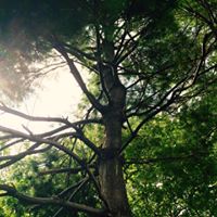 Bobby Mcfadden Photo 8