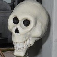 Daryl Poole Photo 23