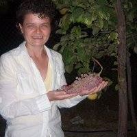 Katherine Sullivan Photo 23