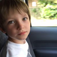 Shane Singer Photo 5