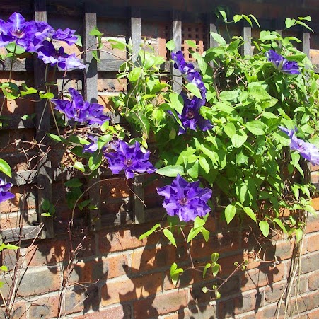 Margaret Rogers Photo 43
