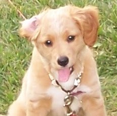 Babette Cliff Photo 2