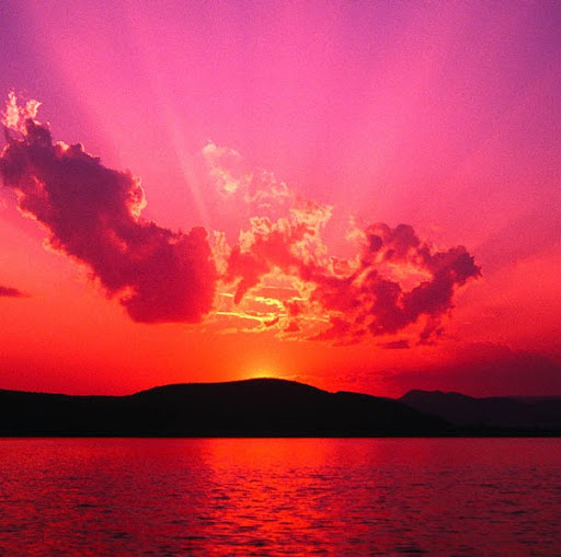 Marlene Davis Photo 15